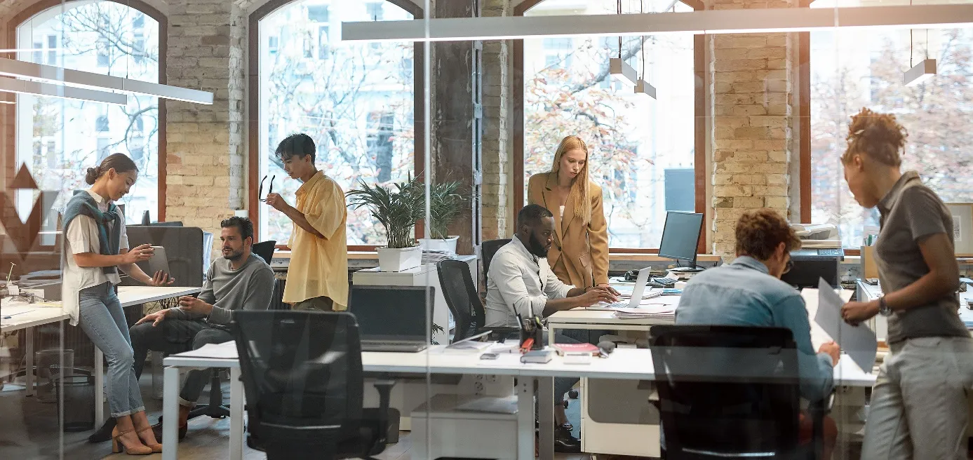 Zakelijke dienstverlening: advies, architectuur en consultancy